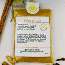 Load image into Gallery viewer, 40g SPICE OF LIFE