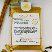 Load image into Gallery viewer, 40g SPICE OF LIFE
